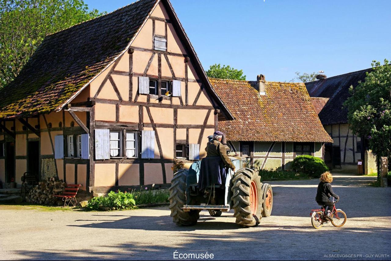 Chalet Du Silberrain Pres De Colmar - Cheminee, Sauna, Piscine Partagee Osenbach Luaran gambar